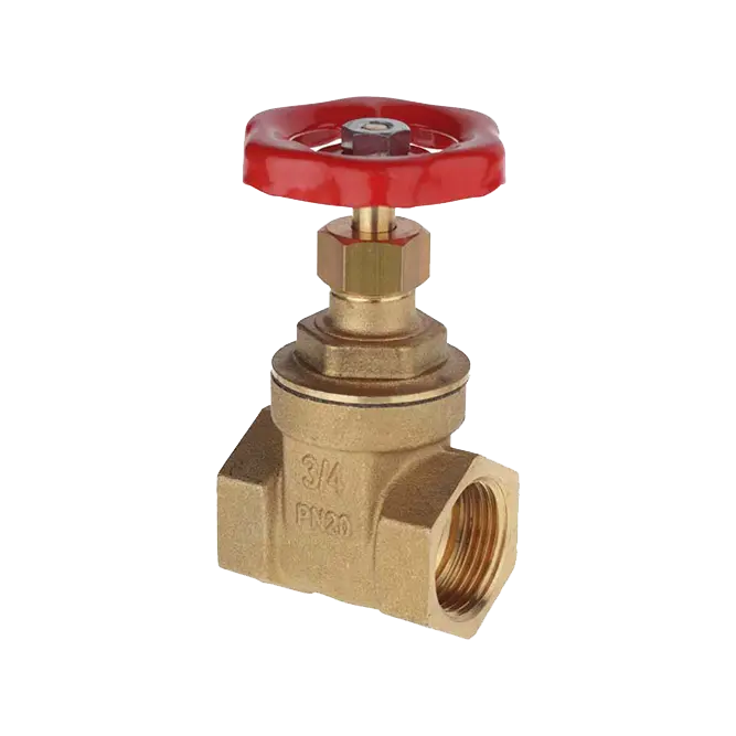 SARACINESCHE IN OTTONE